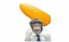 huskermonkey.jpg