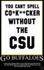 csu.jpg