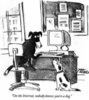 dog internet.jpeg