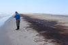 oil_spill..jpg