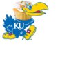 kansas cupcake..jpg