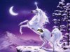 unicorn.jpg