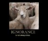 ignorance.jpg