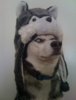 image.jpeg