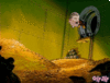 IMG_0399.GIF