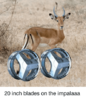 sizzle-album-photoshop-640010520100241408-Twitter.png