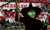 Pelini Wicked.jpg