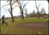 tree-bicycle-flip.jpg