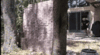 79AAF76F-9EE8-4C87-8CC8-A4B8ADD507EC.gif