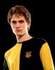 Cedric-Diggory-cedric-diggory-1274153-233-298.jpg
