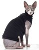 220px-Sphynx_cat_wearing_clothes.jpg