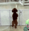 upload_2019-1-31_17-31-0.gif