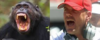 1566580447605.png