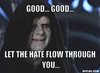 981BB767-095E-41DD-AD1E-D70646DB0B42.jpeg