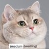C5F76B06-352C-4151-830F-2E46C0DE83D0.jpeg