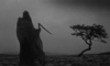 1582479206919.gif