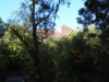 S4300172.JPG