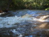 S4300177.JPG