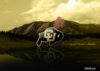Buffs_Wallpaper_3_1280x920.jpg