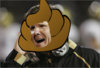 dan-hawkins copy.jpg
