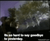 52A90857-1996-4605-9E72-9AE67E3DCA06.gif