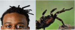 1606541659186.png