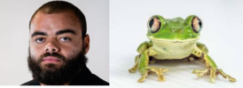 1606541949223.png