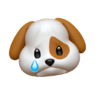 1615653555954.png