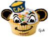 cal bear.jpg