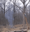 1624296625212.gif