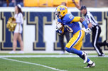 pitt3.jpeg