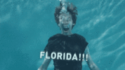 1629475103804.gif