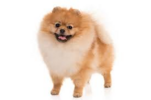 1630943376823.png