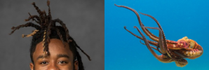 1631297144815.png