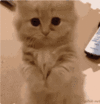1632331966113.gif