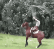1640737393749.gif