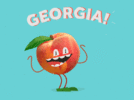 24345BDA-CF96-4554-A6A7-5F776A6F10DE.gif
