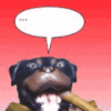 1642899697139.gif