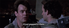 1644373895061.gif