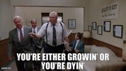 7BA828CD-01CC-47A8-821C-A6BC90E63FD3.gif