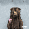 1664048380009.gif