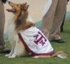 Reveille-TAMU-Mascot.JPG