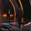 1669062544093.gif