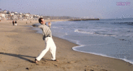 1669782003096.gif