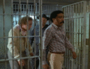 1672003530928.gif
