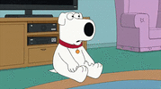 1673664613357.gif