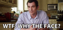 1675954539370.gif