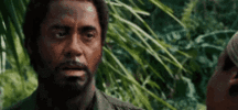 1676431914681.gif