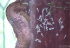 CBF47757-C195-4E3D-8AA3-79EB93B9F8B9.gif
