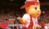 1682562210628.gif